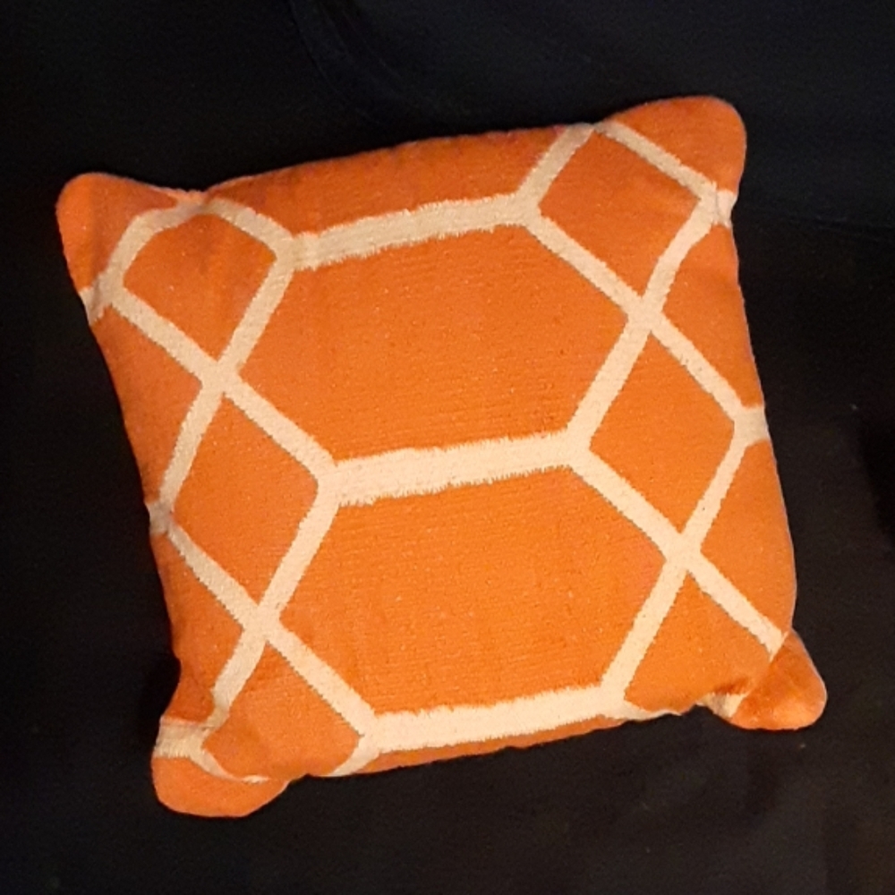 Orange Accent Pillow